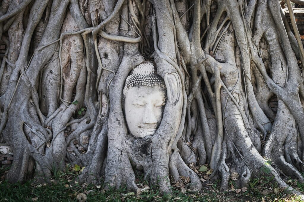 Ayutthaya Wat Mahathat