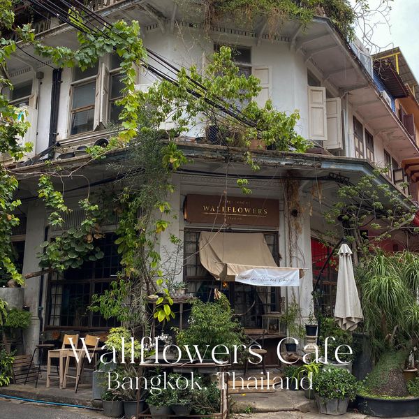 wallflowerscafe