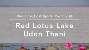 red-lotus-lake-udon-thani