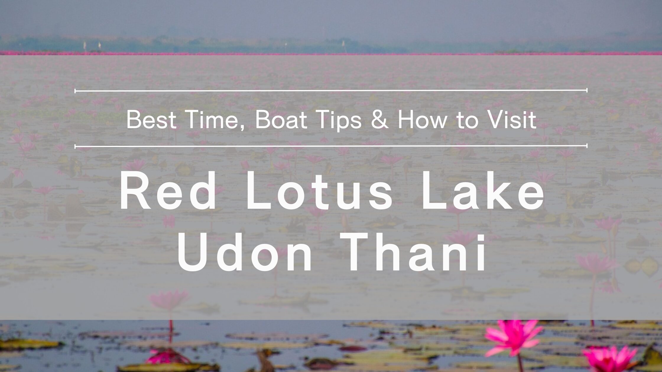 red-lotus-lake-udon-thani
