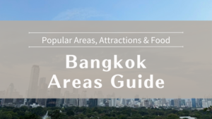 Bangkok Areas Guide