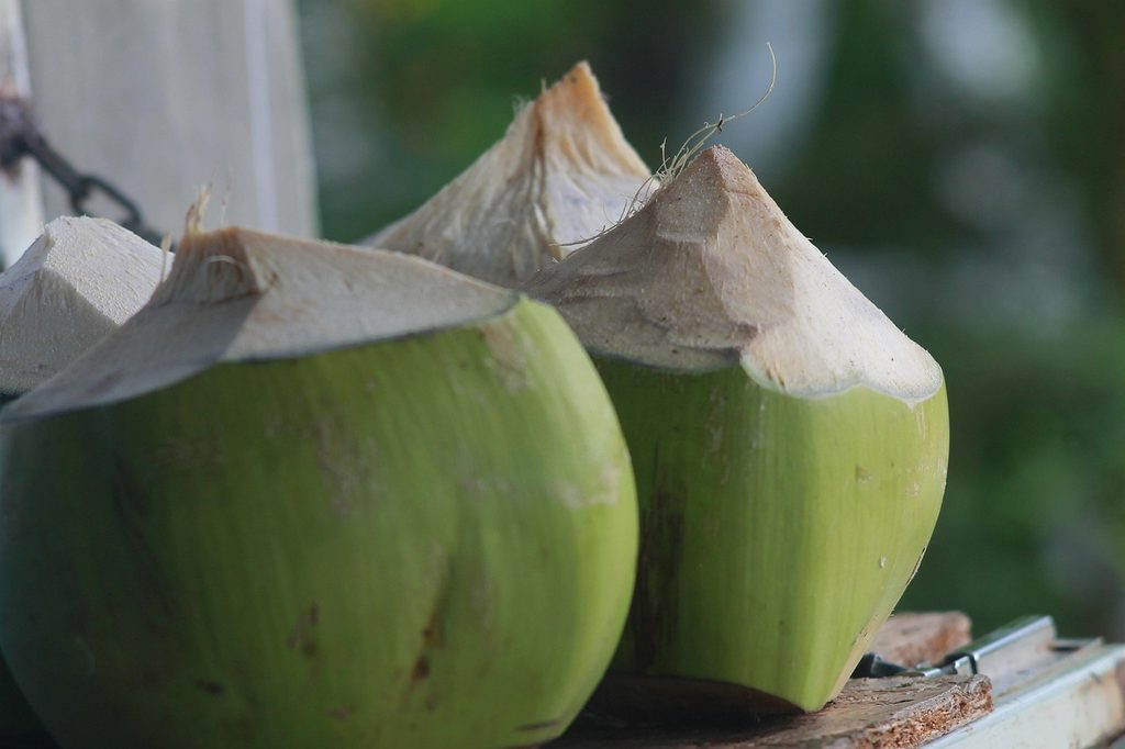 Coconut: Fresh Water, Flesh, and Desserts