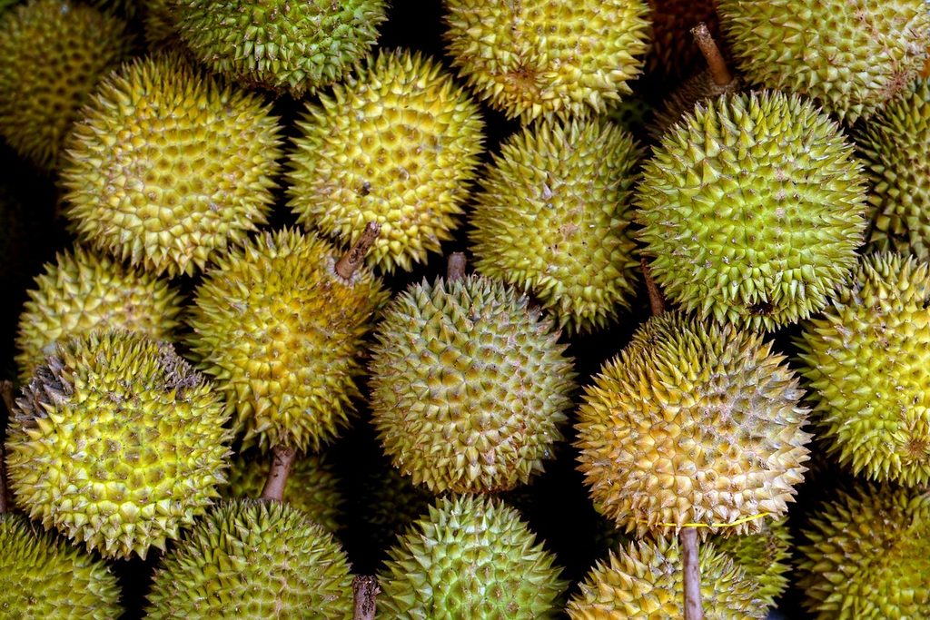 Durian: The King of Fruits