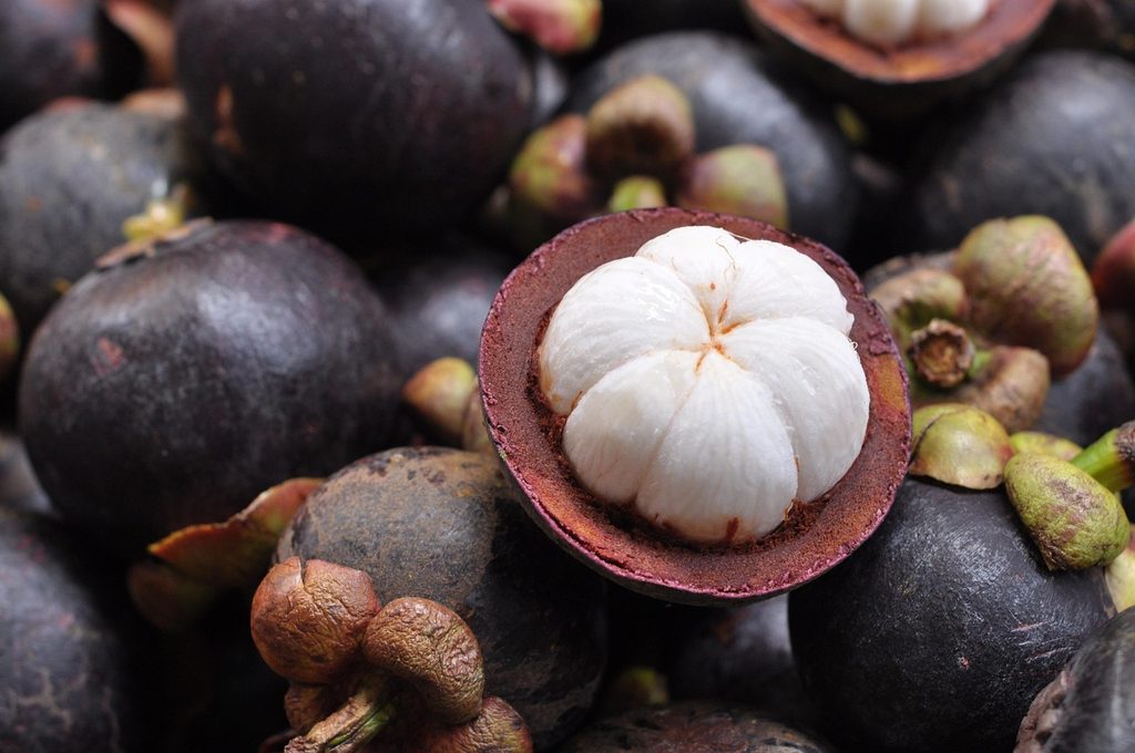 Mangosteen: The Queen of Fruits
