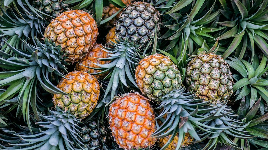 Pineapple: Sweet and Refreshing