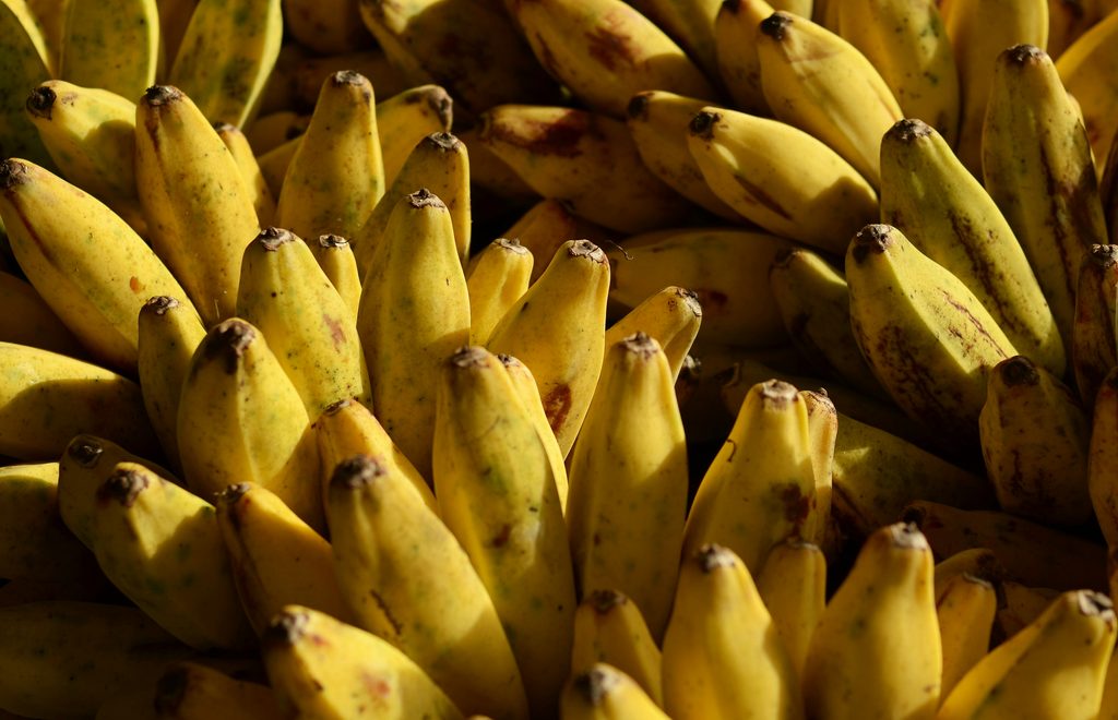 Thai Bananas: Popular Varieties and Grilled Bananas