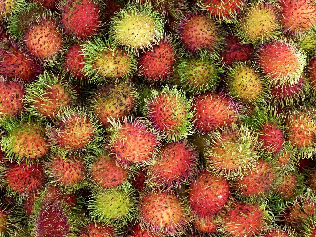 Rambutan: A Hairy Fruit with Sweet Flesh